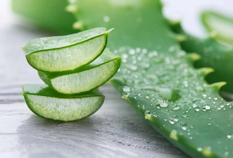 9 روش خانگی برای درمان مشکل شوره سر - آلوئه ورا